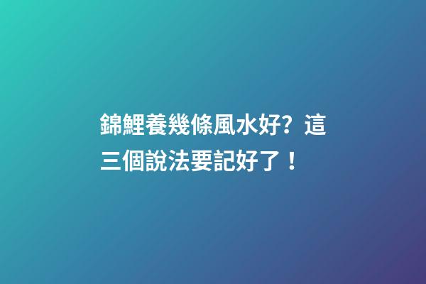 錦鯉養幾條風水好？這三個說法要記好了！